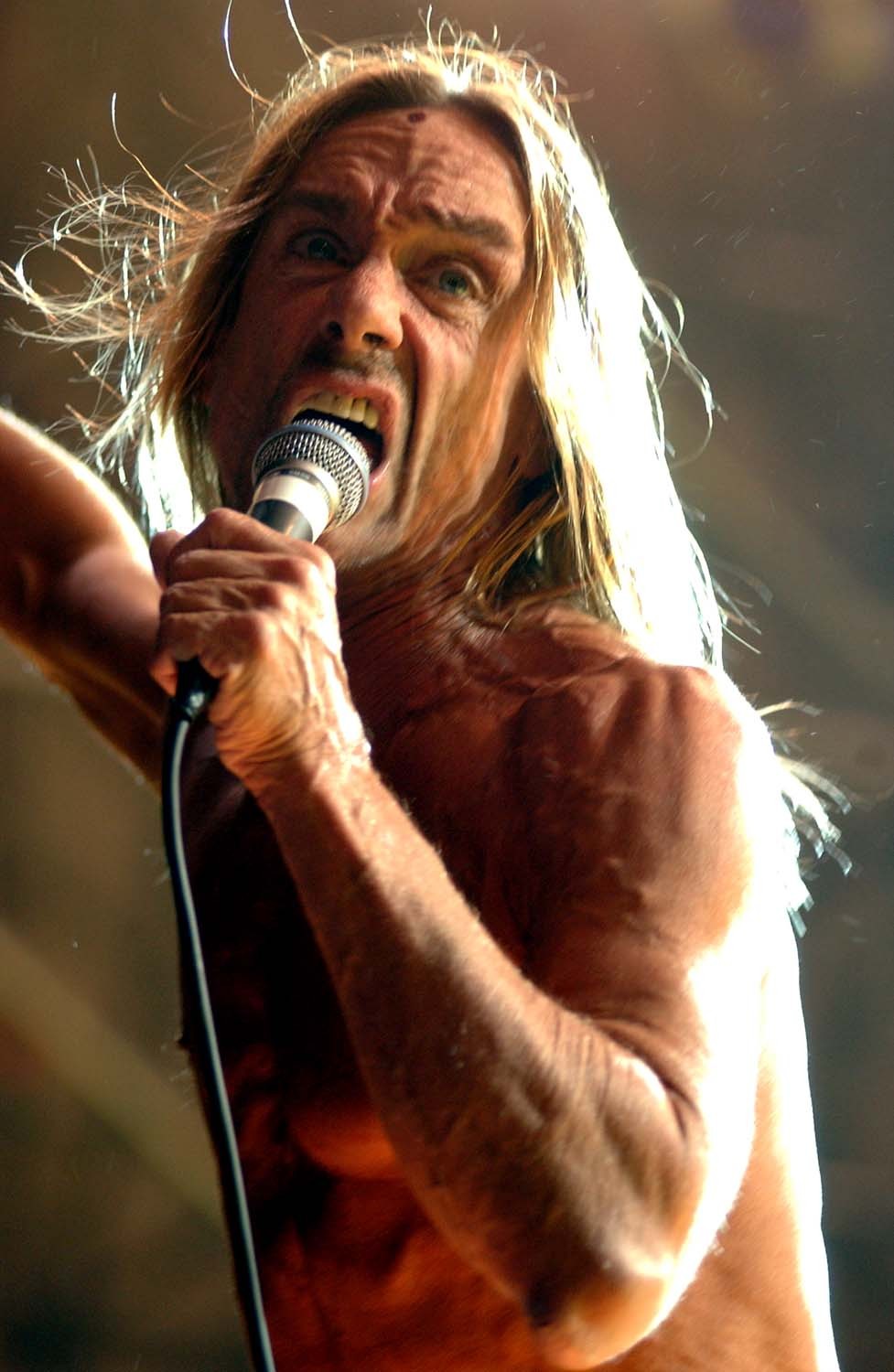 Игги Поп - Iggy Pop фото №68061